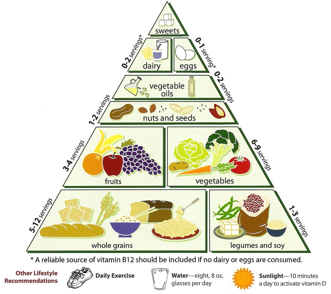 The Ultimate Guide To The Vegan Diet Food Pyramid