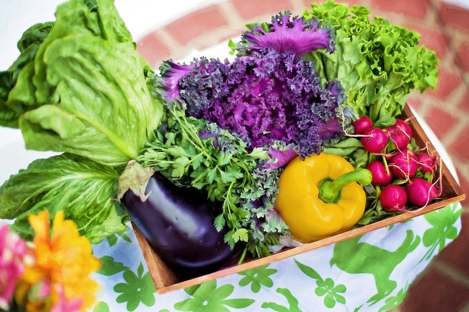 The Ultimate Guide To The Vegetarian Diet Vegetables