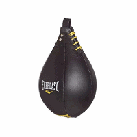 Speed bag