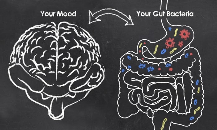 Importance of Gut Health