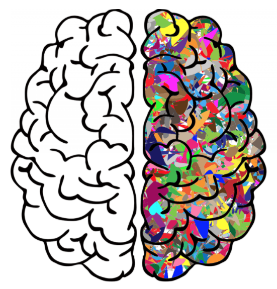 Brain-Gut Axis Connection