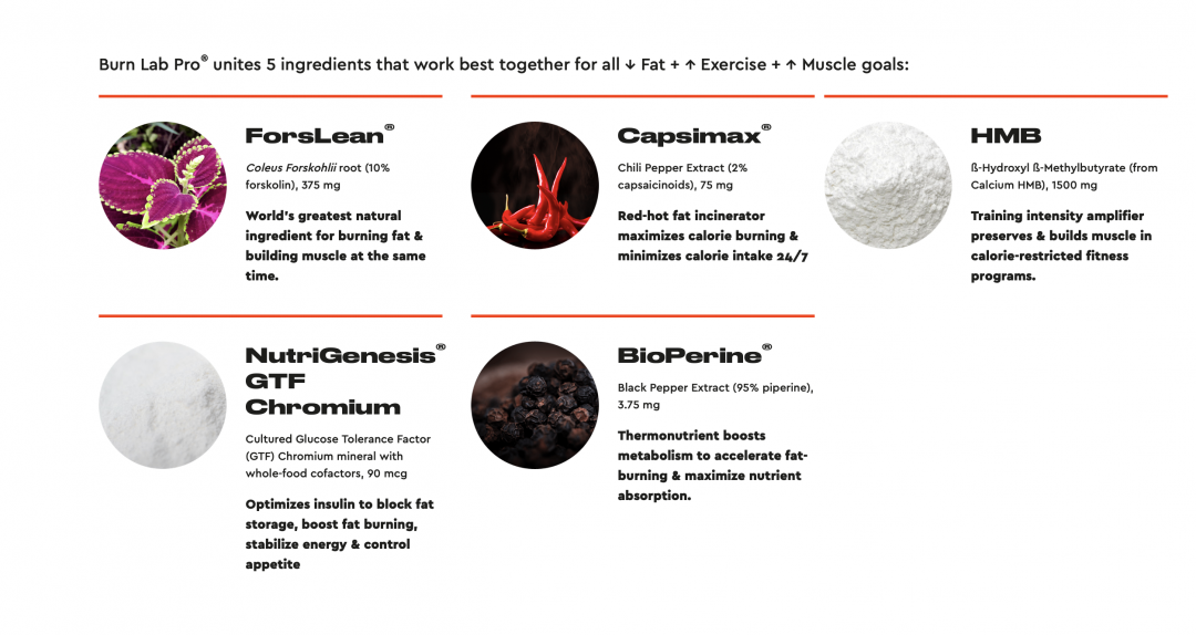 Burn Lab Pro Review - How Effective Is This Fat Burner?
